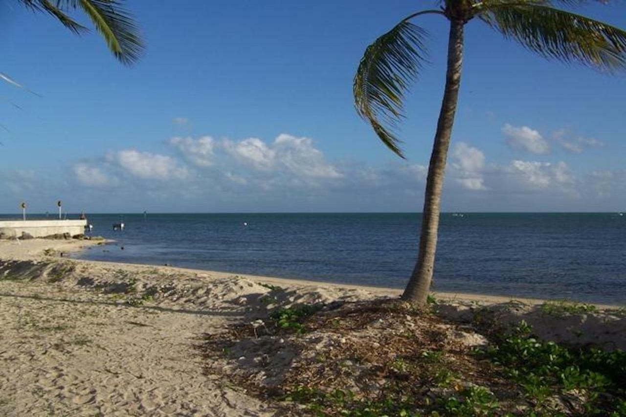 Coconut Palms Villa Key West Exteriör bild